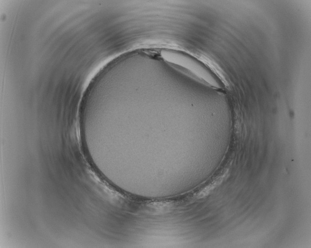 X0000070350888200607072035