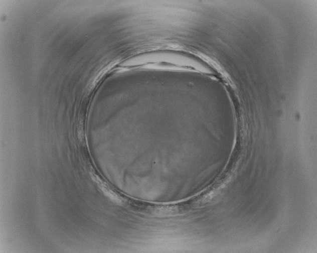 X0000070350889200607072035