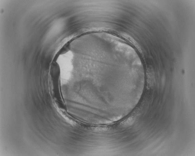 X0000070350890200607072035