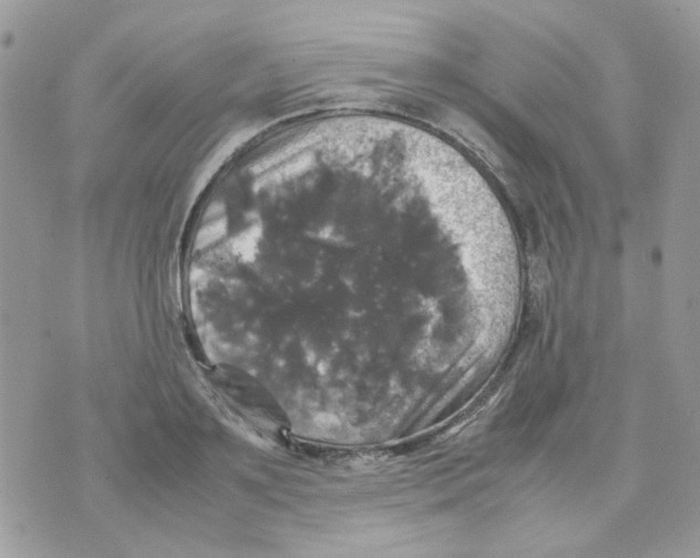 X0000070350891200607072035