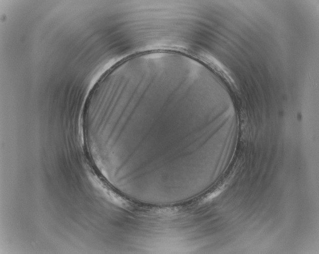 X0000070350892200607072035