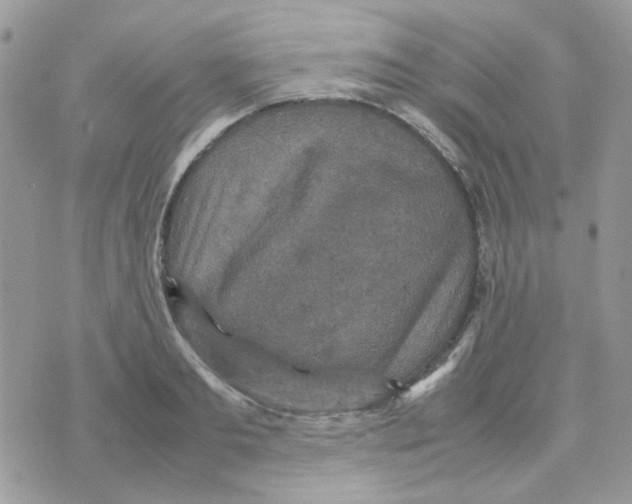 X0000070350893200607072035