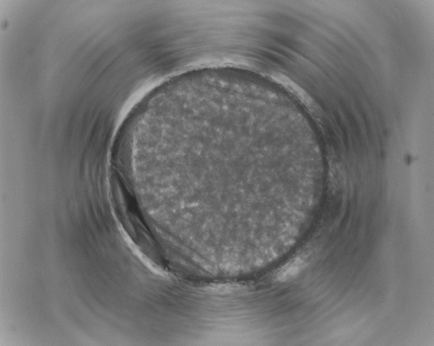 X0000070350894200607072035