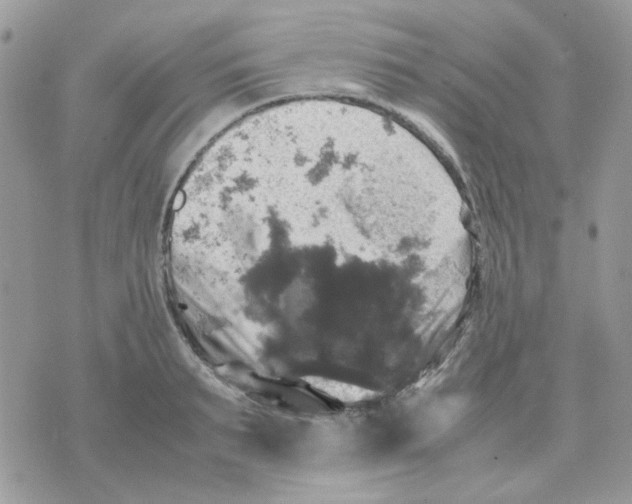 X0000070350895200607072035