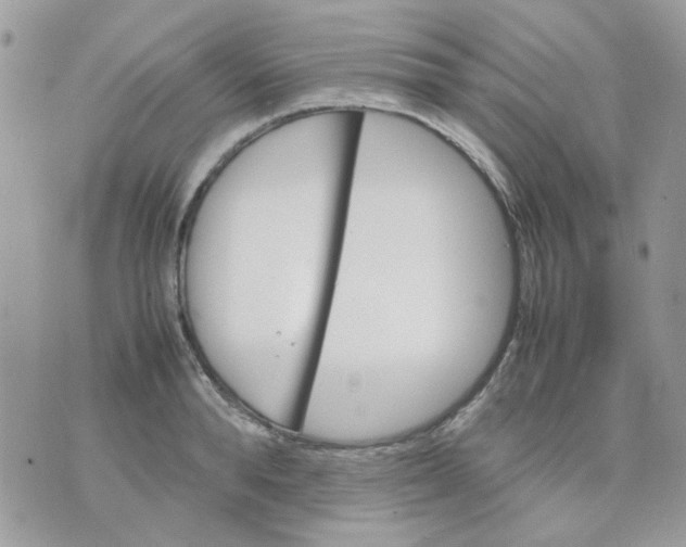 X0000070350896200607072035