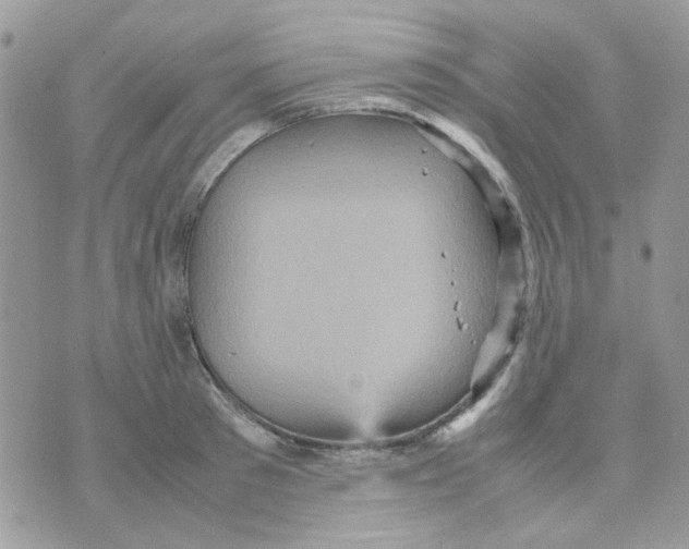 X0000070350897200607072035