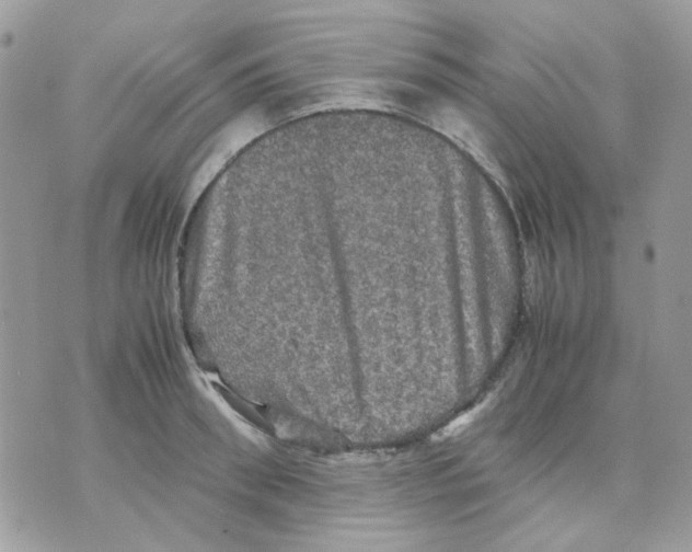 X0000070350898200607072035