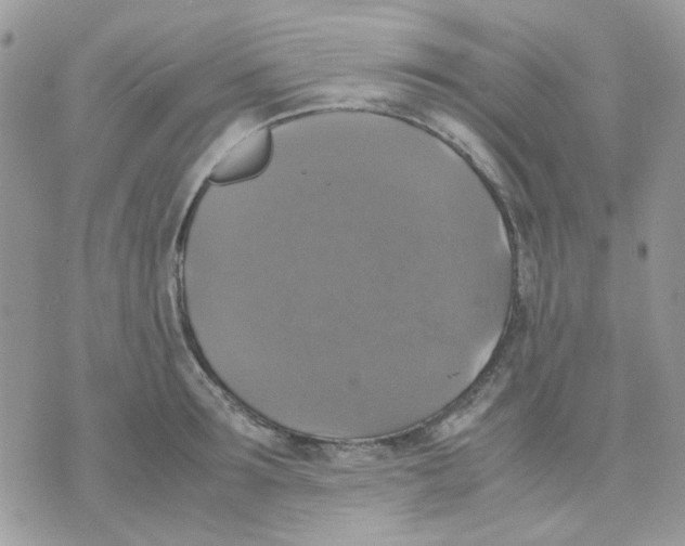 X0000070350899200607072035