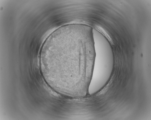 X0000070350900200607072035