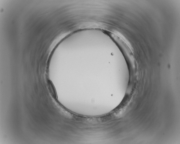 X0000070350901200607072035