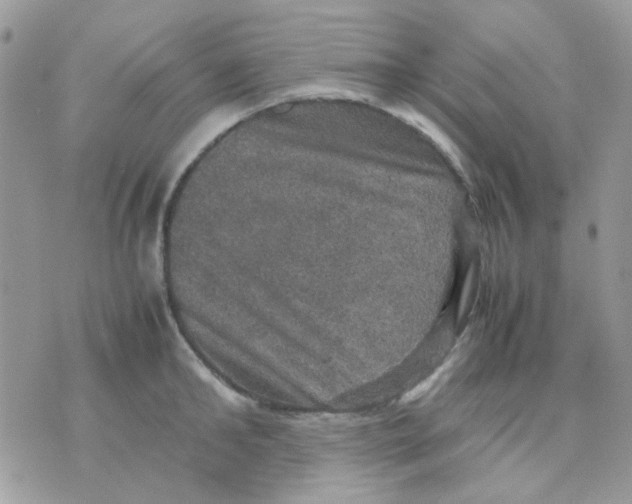 X0000070350902200607072035