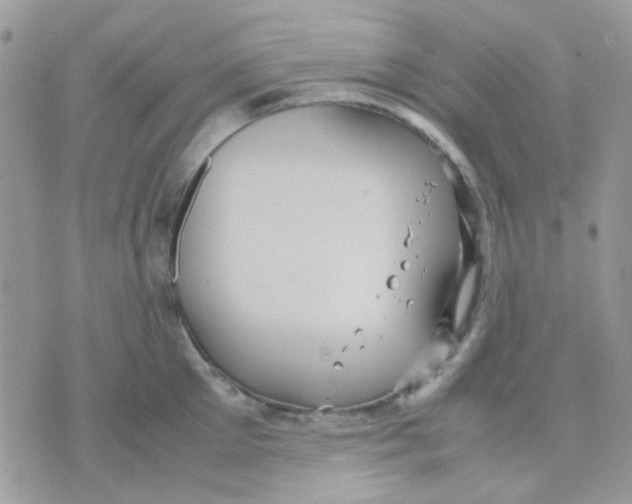 X0000070350905200607072035