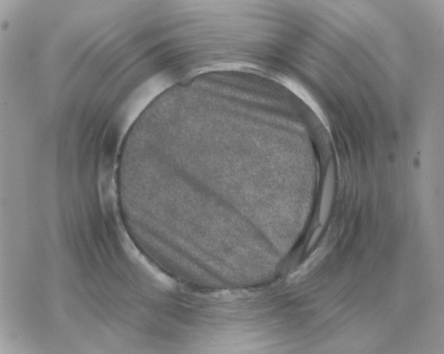 X0000070350906200607072035