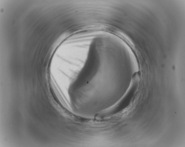 X0000070350907200607072035