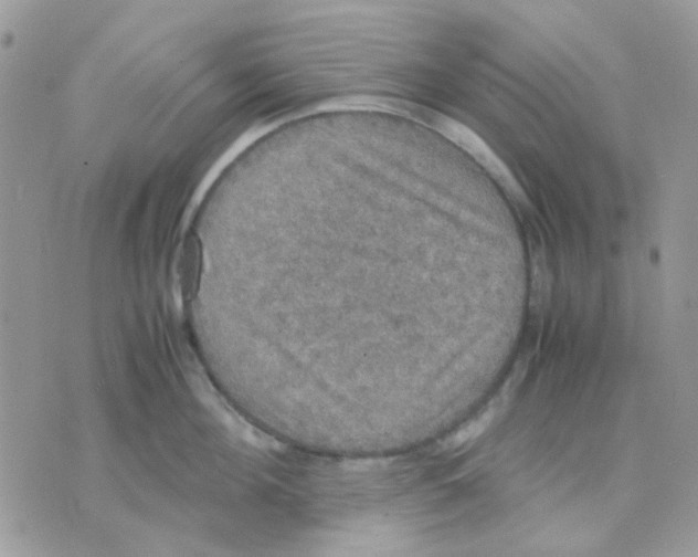 X0000070350908200607072035