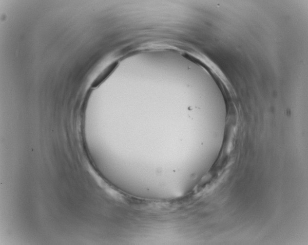 X0000070350909200607072035