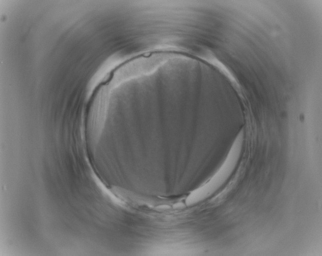 X0000070350910200607072035