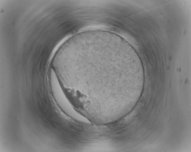 X0000070350912200607072035