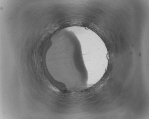 X0000070350913200607072034