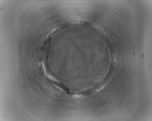 X0000070350916200607072034