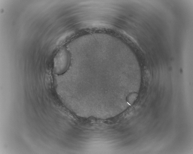 X0000070350918200607072034