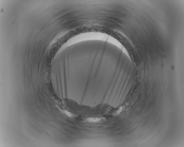 X0000070350919200607072034