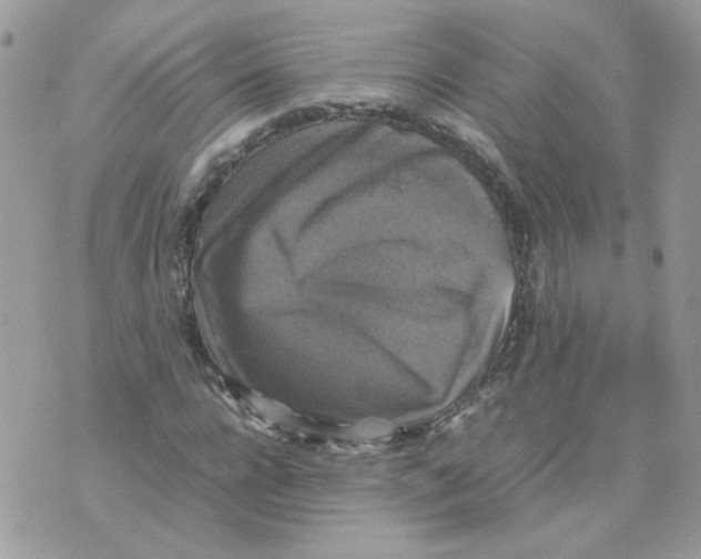 X0000070350920200607072034