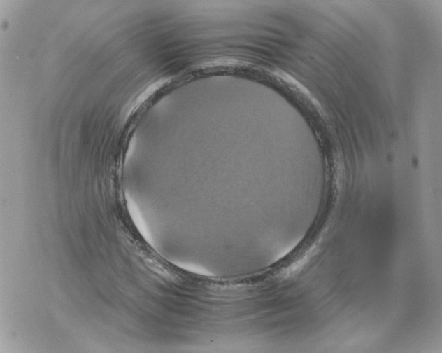 X0000070350921200607072034