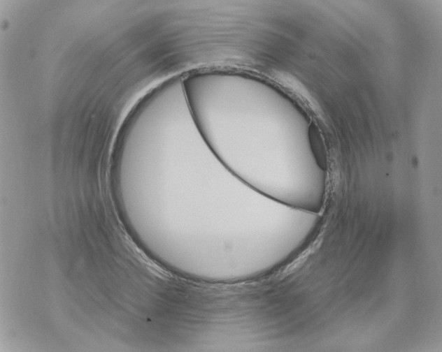 X0000070350924200607072034