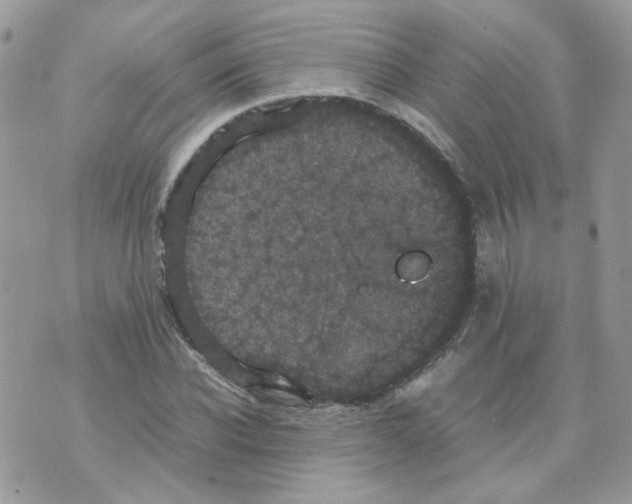 X0000070350926200607072034