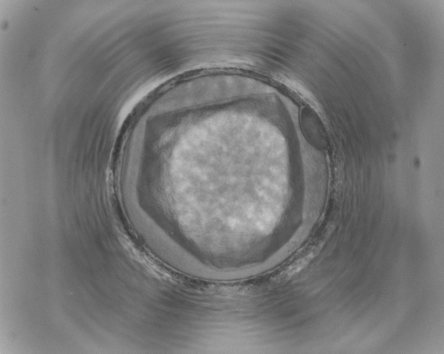 X0000070350928200607072034