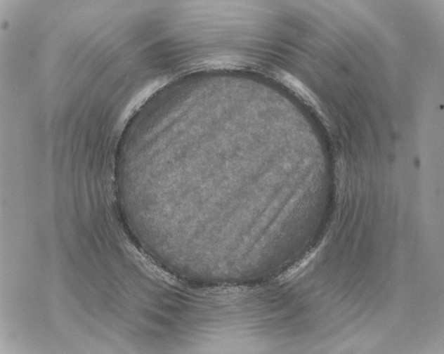 X0000070350930200607072034