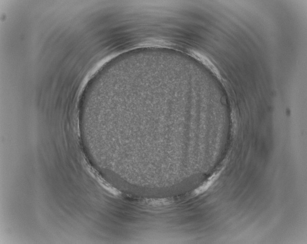 X0000070350931200607072034