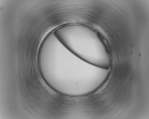 X0000070350932200607072034