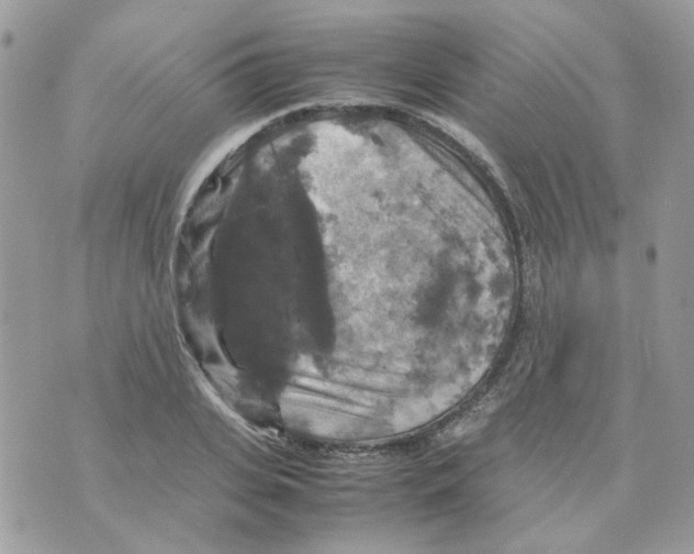 X0000070350935200607072034