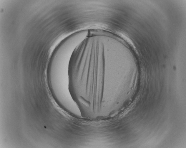 X0000070350936200607072034