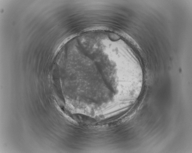 X0000070350937200607072034