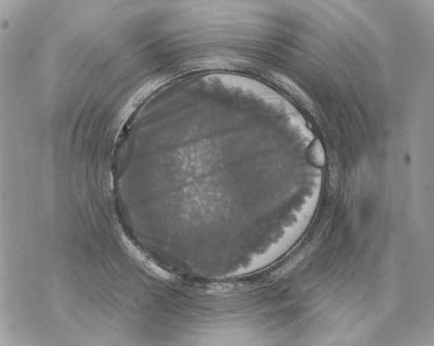 X0000070350938200607072034