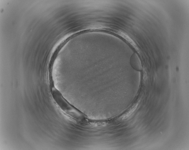 X0000070350939200607072034