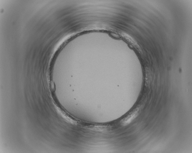 X0000070350942200607072034