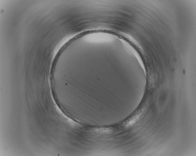 X0000070350943200607072035