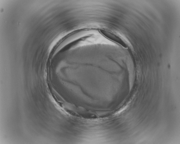 X0000070350944200607072035