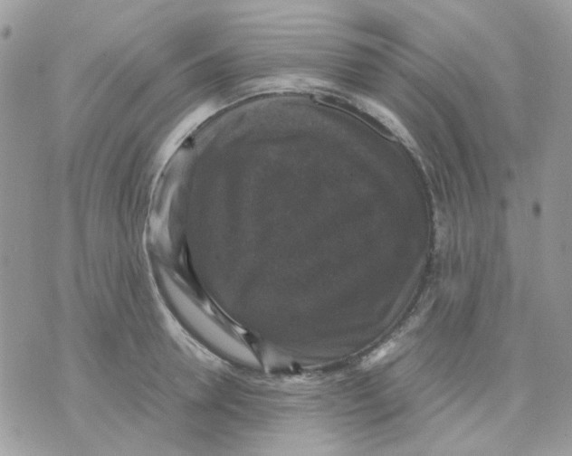 X0000070350946200607072035