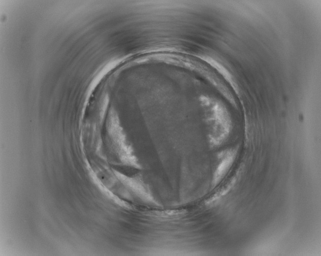 X0000070350949200607072035