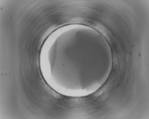 X0000070350950200607072035