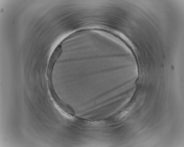 X0000070350951200607072035