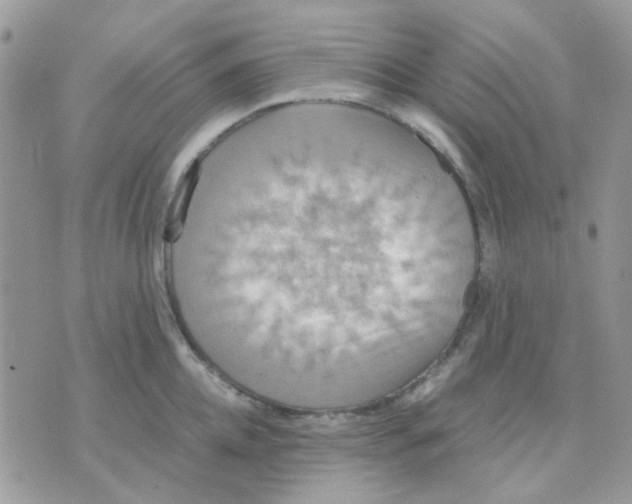 X0000070350952200607072035