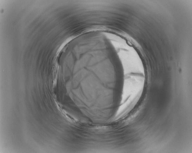 X0000070350953200607072035