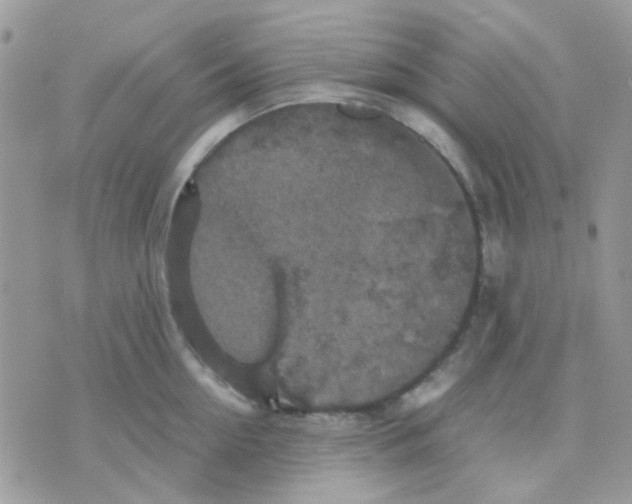 X0000070350954200607072035