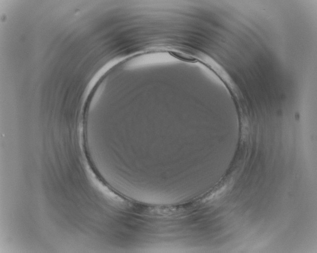 X0000070350955200607072035